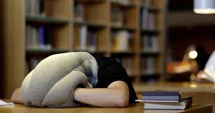 Ostrich Pillow person napping - office