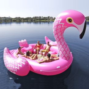 Pink Flamingo Raft